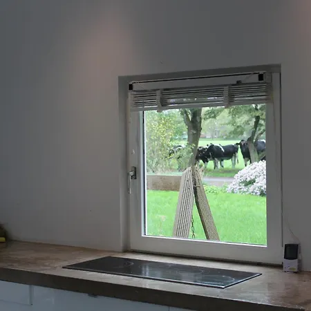 Between Amsterdam And Haarlem With Sauna 빌라